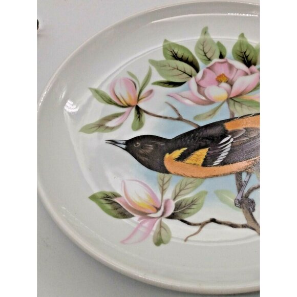 Vintage Rosenthal Collector Bird Plate - Baltimore Oriole - Hand Painted 7 3/4" - Picture 4 of 9